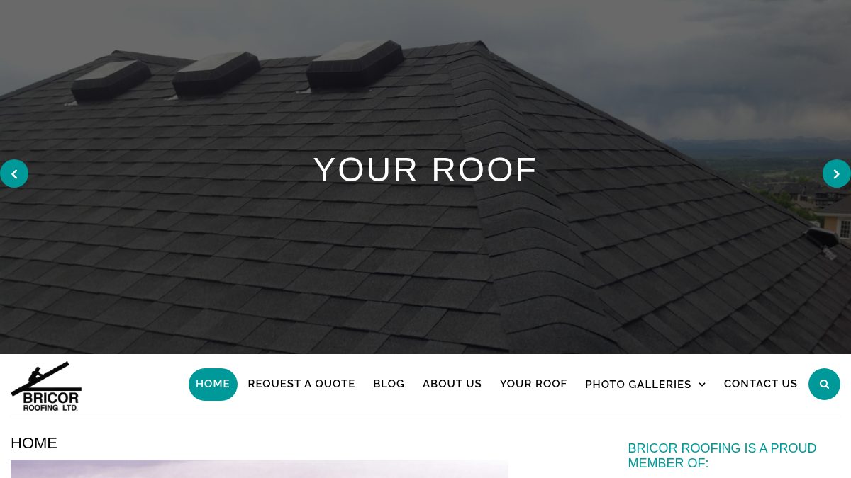 Bricor Roofing